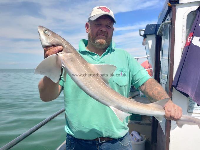 6 lb 8 oz Smooth-hound by Stephen hayles