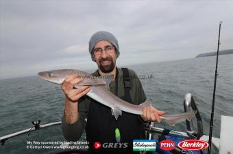 5 lb Starry Smooth-hound by Jose