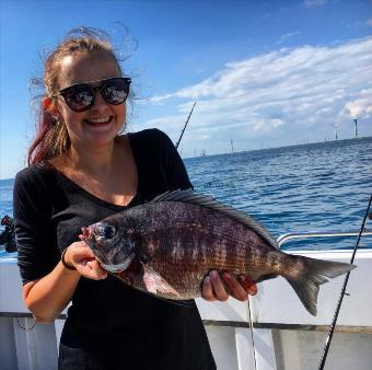 3 lb 10 oz Black Sea Bream by Unknown