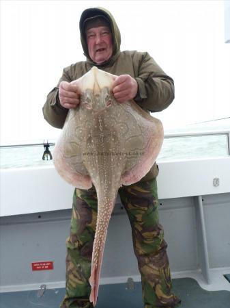 17 lb Undulate Ray by Brian Cross