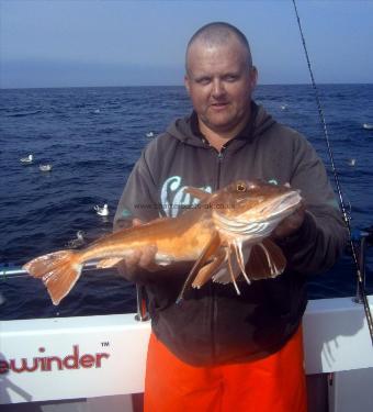 5 lb 10 oz Tub Gurnard by Steve