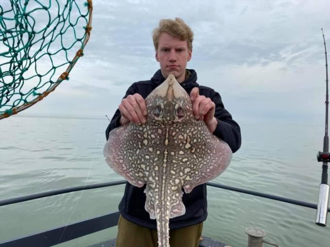 9 lb Thornback Ray by Unknown