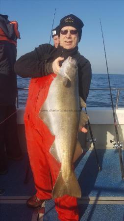 15 lb 8 oz Pollock by chalky