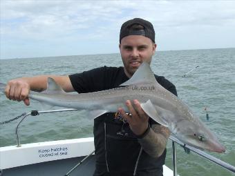 10 lb Smooth-hound (Common) by james