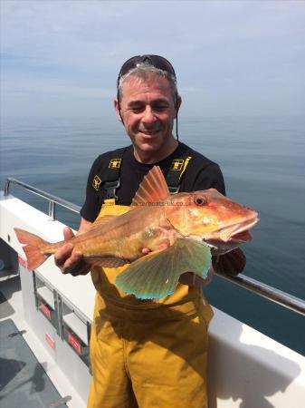 6 lb Tub Gurnard by Steve Cowl