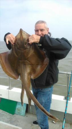 16 lb Blonde Ray by rob