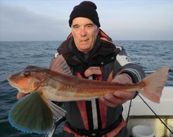 2 lb 5 oz Tub Gurnard by Len Miles