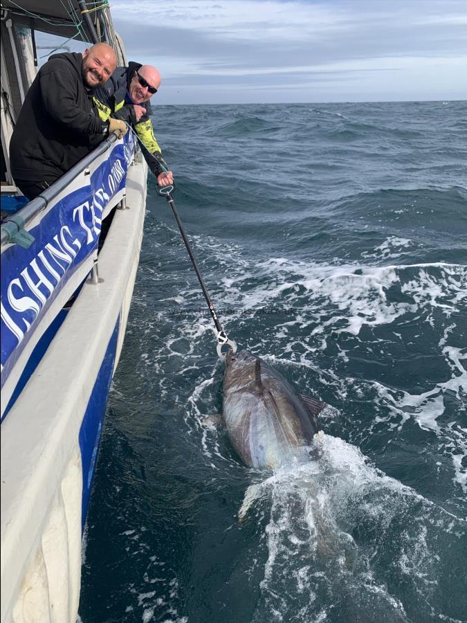 1 lb Bluefin Tuna by Dill