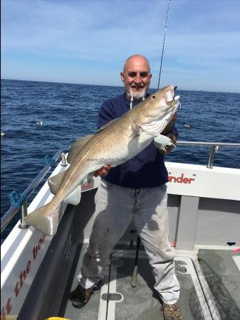 19 lb 8 oz Cod by Unknown