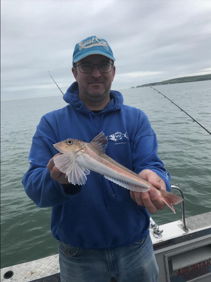 12 oz Grey Gurnard by Chris