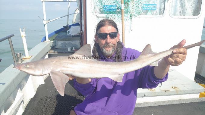 6 lb Smooth-hound (Common) by Pete pirate