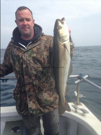 8 lb Pollock by Simon