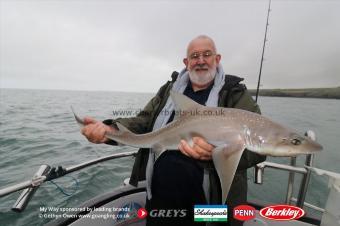 14 lb Starry Smooth-hound by Nick