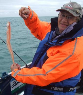 2 oz Red Band Fish by Andy Collings