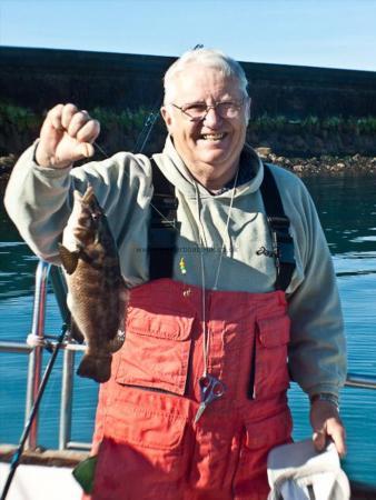 1 lb 8 oz Ballan Wrasse by Jim