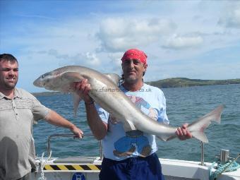 35 lb Tope by Unknown