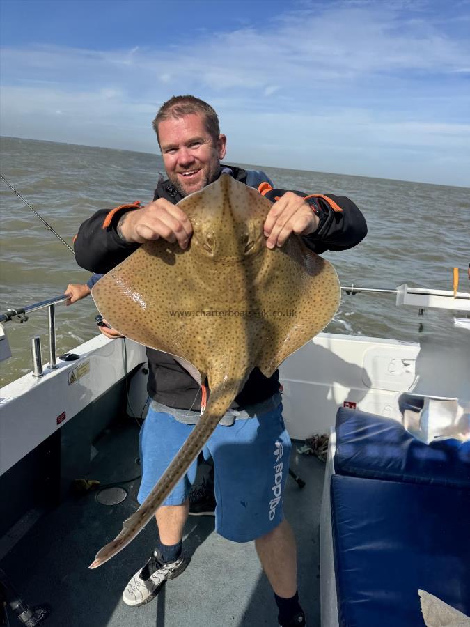 10 lb Blonde Ray by Shane