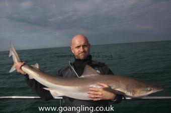 35 lb Tope by Richard