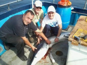 120 lb Blue Shark by Dave Pearce