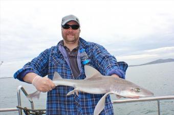 7 lb Starry Smooth-hound by Mike Doran
