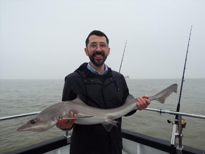 2 oz Smooth-hound by Unknown