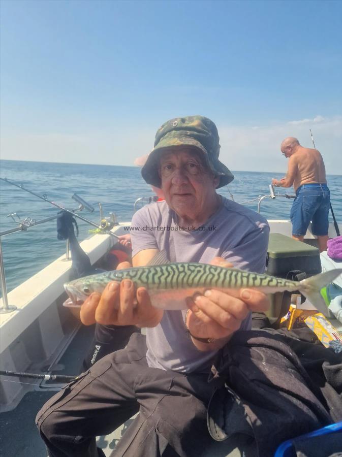 1 lb 6 oz Mackerel by Colin