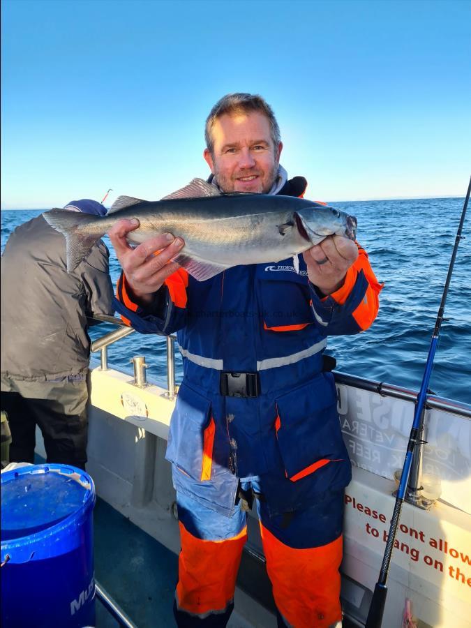 6 lb Coalfish (Coley/Saithe) by John W