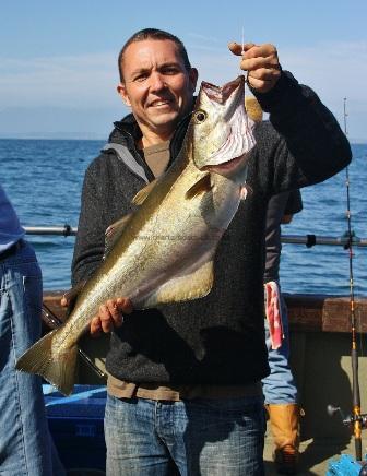 7 lb 10 oz Pollock by Unknown