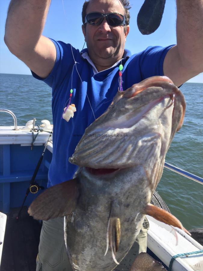 8 lb Cod by Sam from hull