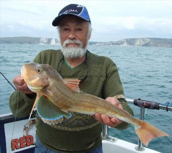 2 lb 8 oz Tub Gurnard by Ian Youngs