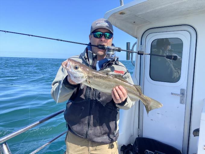 4 lb 1 oz Pollock by Unknown