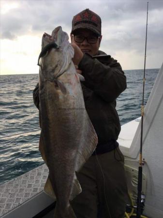 15 lb Pollock by Wayne Oh