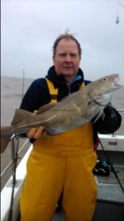 7 lb Cod by Haggis