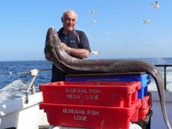 82 lb 7 oz Conger Eel by Tony