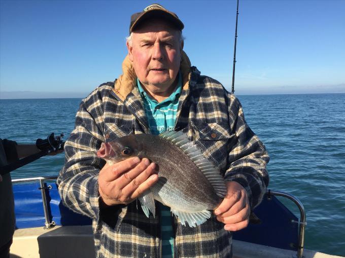 3 lb Black Sea Bream by Ray Barker