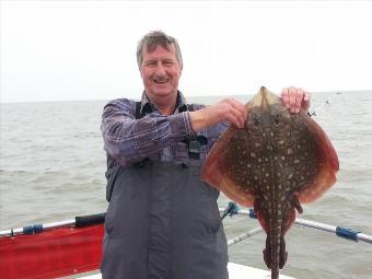 5 lb 3 oz Thornback Ray by Chris Merrison