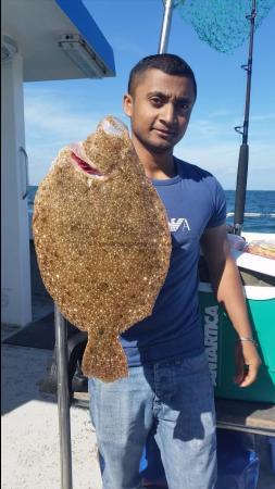 3 lb 12 oz Brill by Unknown