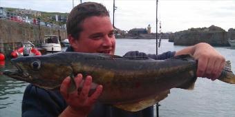 8 lb 12 oz Pollock by shugh