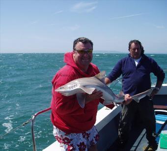 15 lb 1 oz Smooth-hound by Mark Robertson