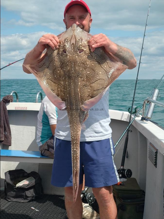 15 lb Undulate Ray by Martin