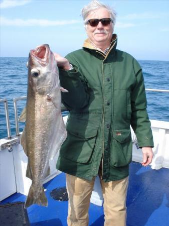 14 lb 4 oz Pollock by Bob