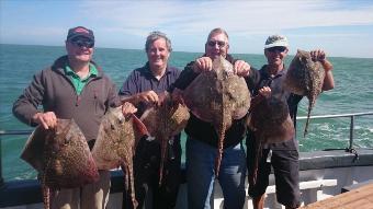 10 lb Thornback Ray by tims party
