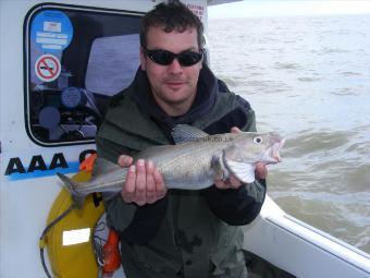 3 lb Cod by Baz