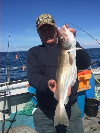 3 lb Whiting by Kevin McKie