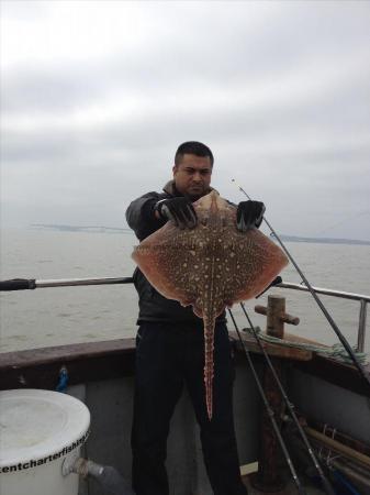 11 lb 4 oz Thornback Ray by East London Boys