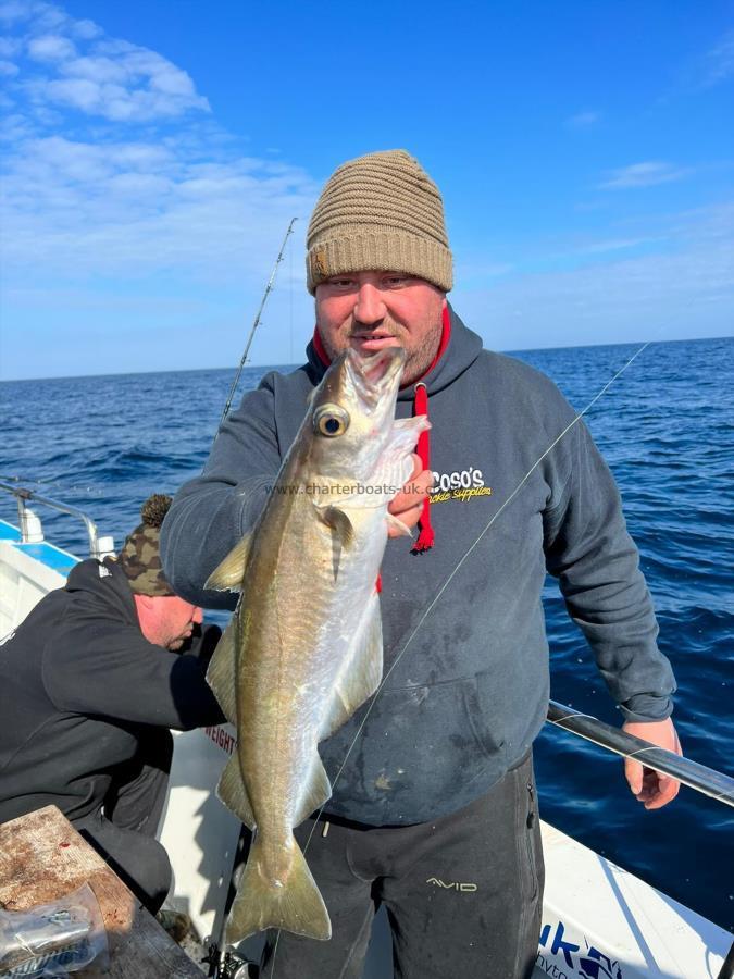 2 lb Pollock by Lee.