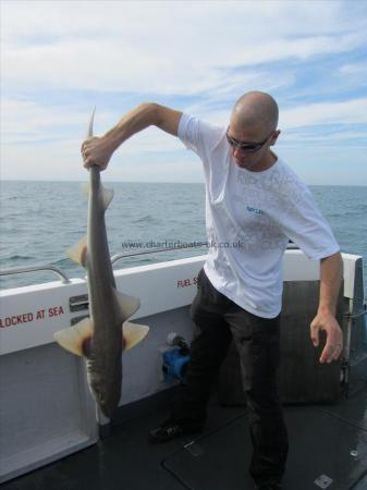 14 lb 2 oz Smooth-hound (Common) by Unknown