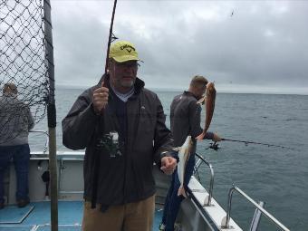 1 lb Grey Gurnard by Double shot