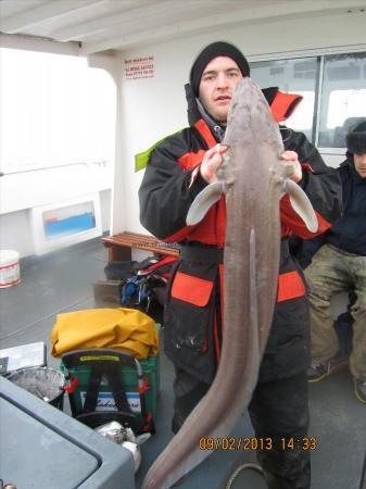 33 lb 8 oz Conger Eel by kyle