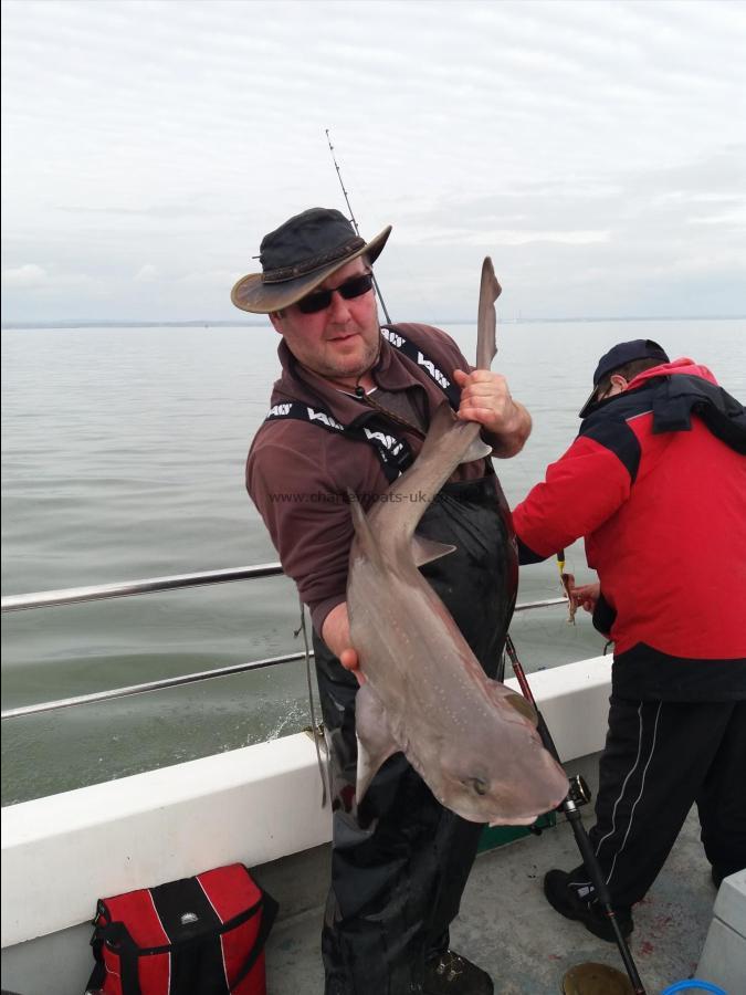 17 lb 12 oz Smooth-hound (Common) by John phillips